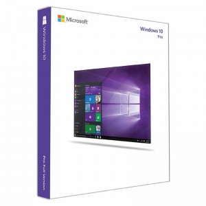 Homestudio Software - Bild einer Windows 10 Box